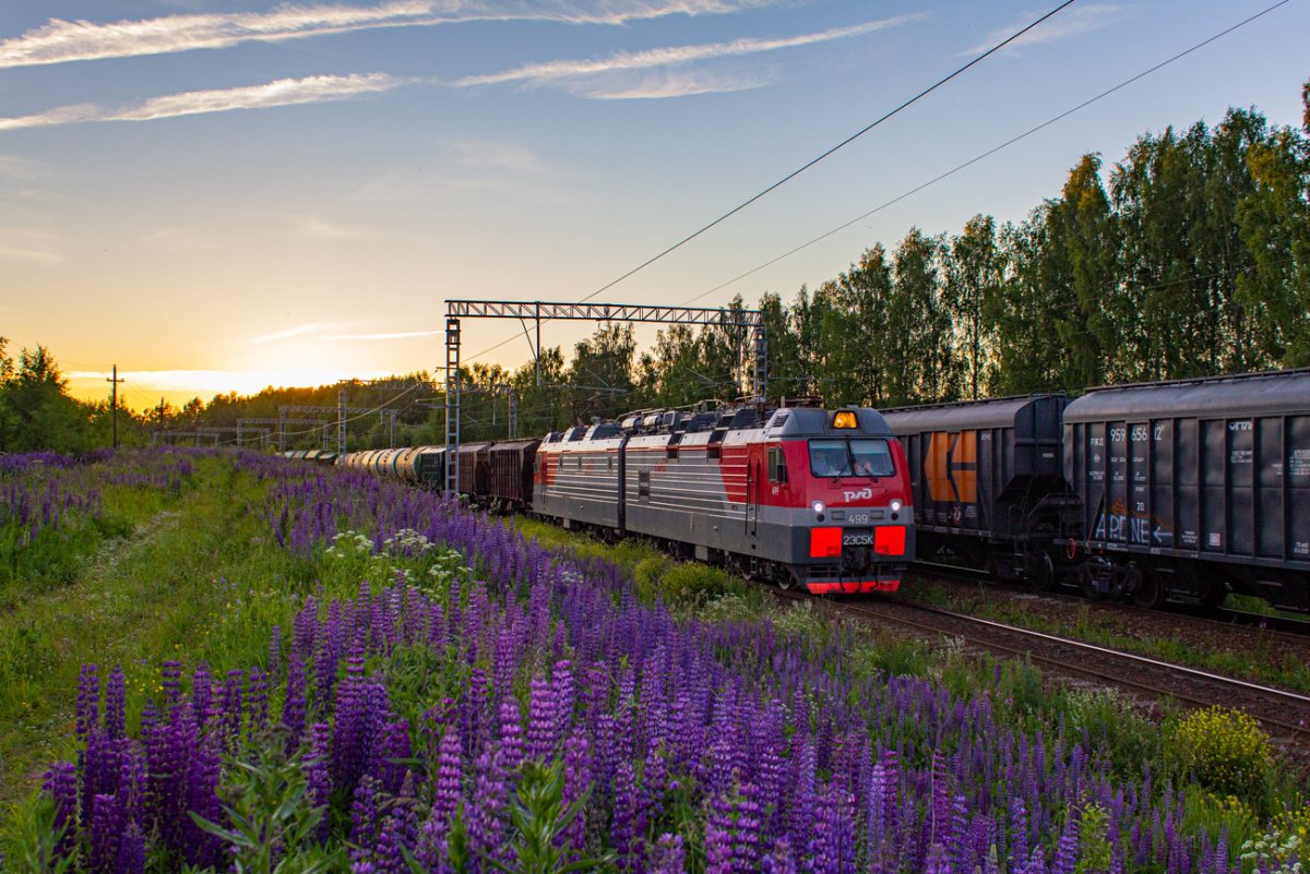 Электровоз Ермак 2020