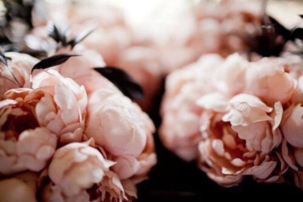 Букет пионов розовидных