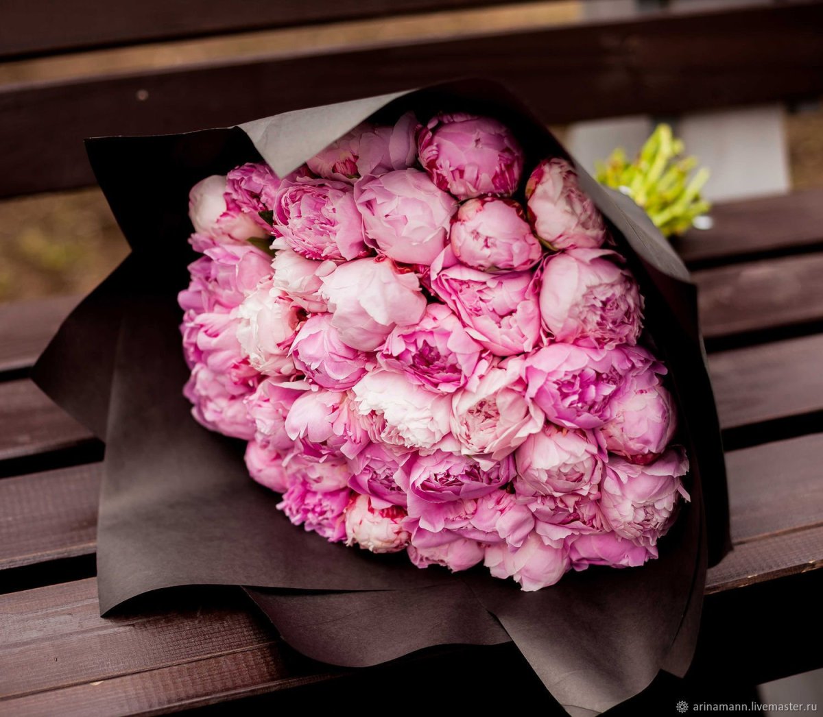 Пионы Эстетика