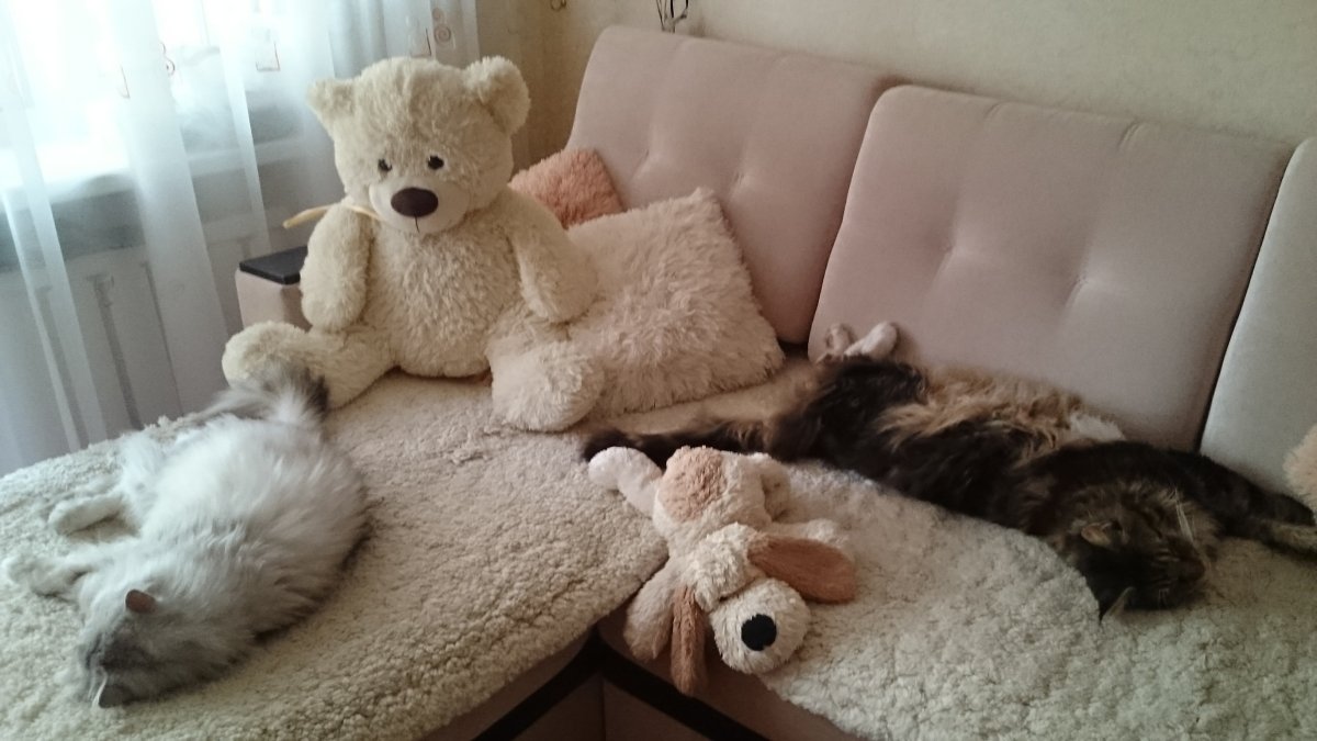 Сладких сказочных сновидений