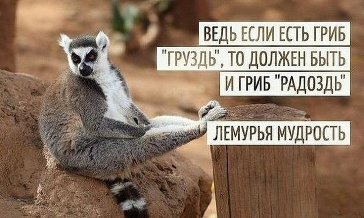 Если есть гриб груздь то должен быть и гриб радоздь