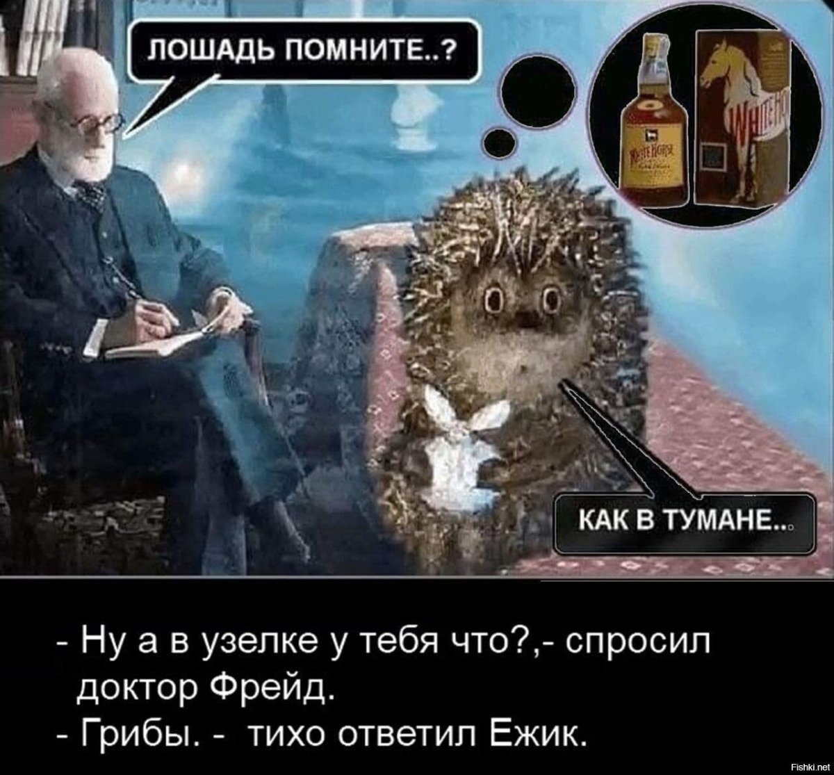 Ежик у Фрейда