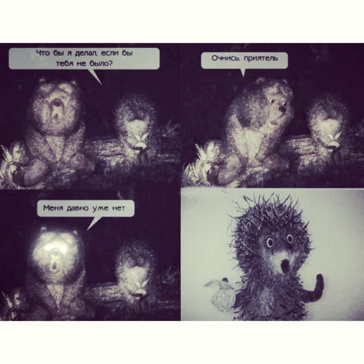 Ёжик в тумане прикол