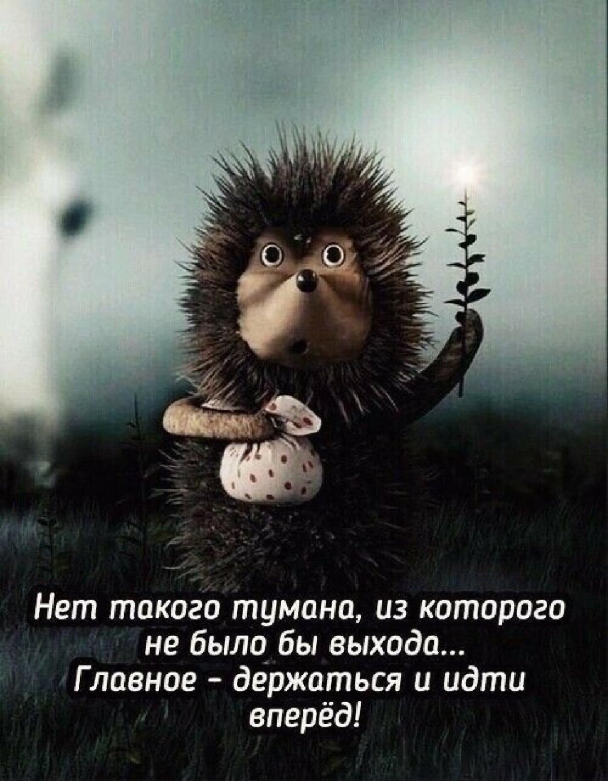 Кот в тумане