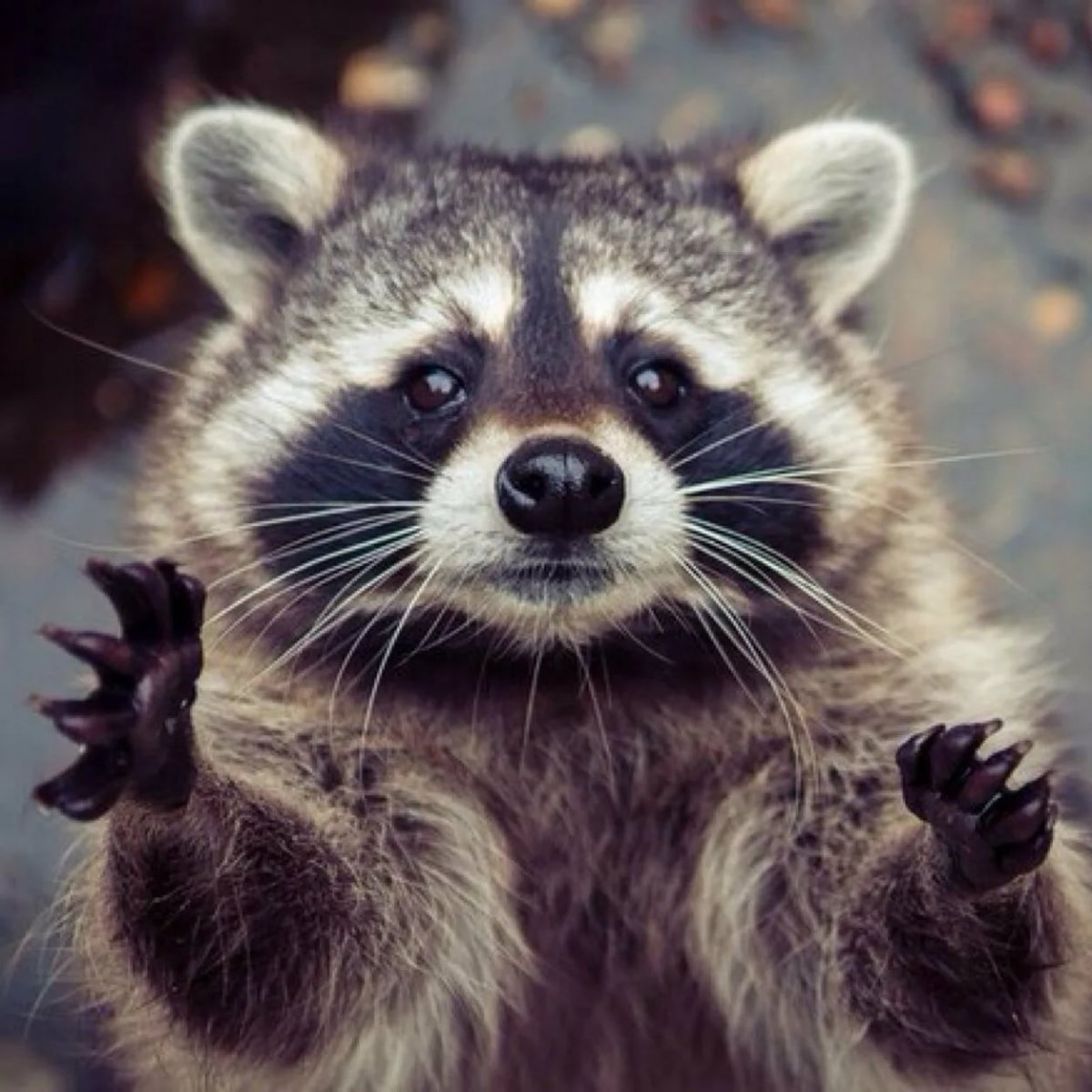 Ты забыл про меня