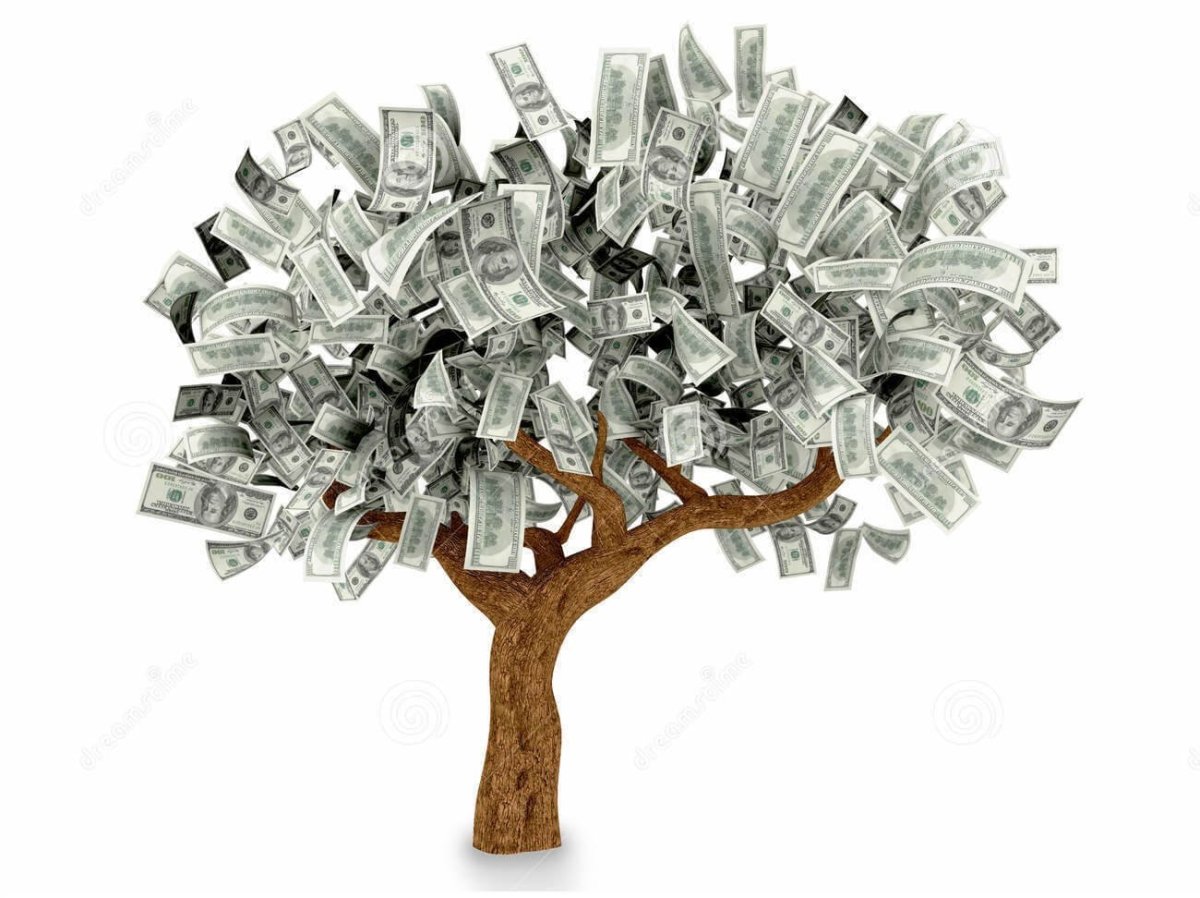 дерево денег фото