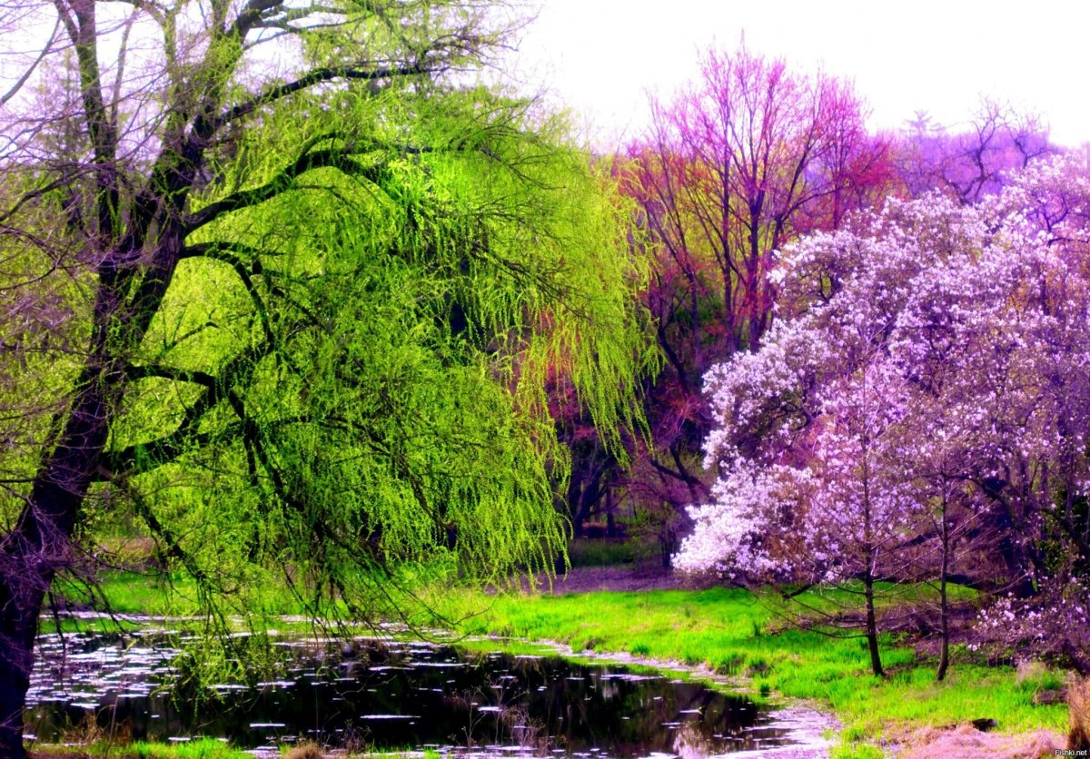 Апрель природа