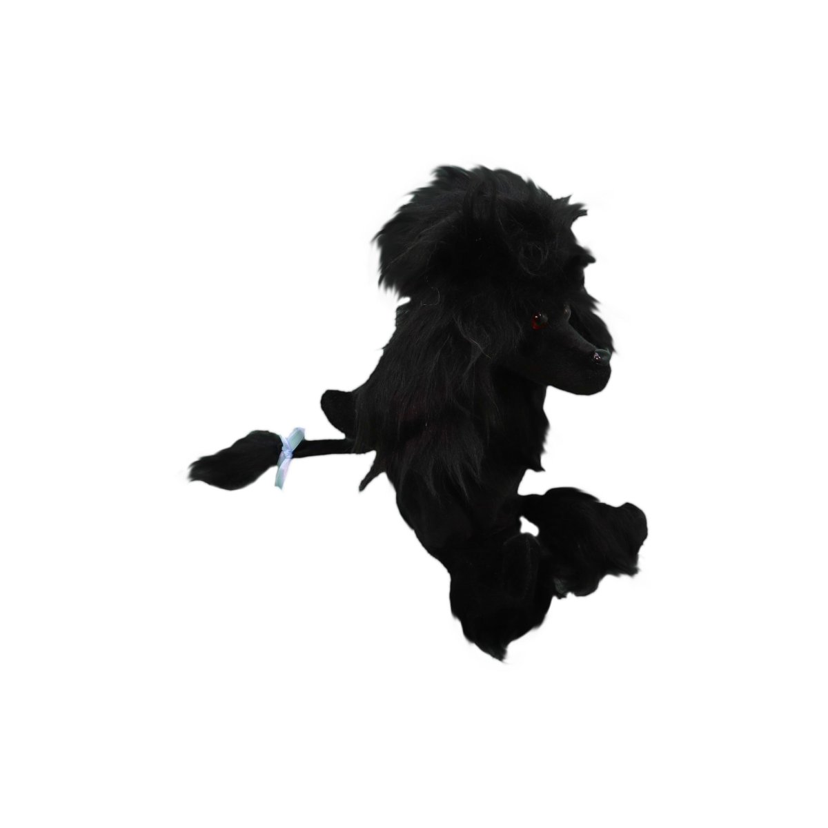 Пудель Медоро