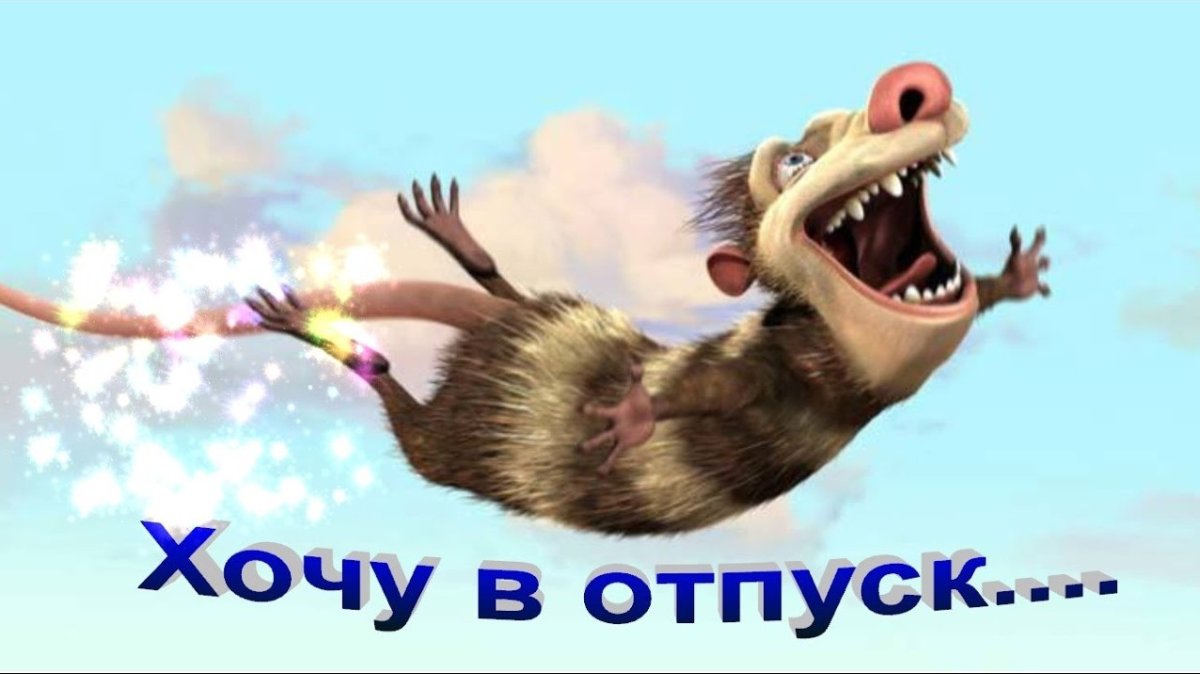 Опоссумы крэш и Эдди