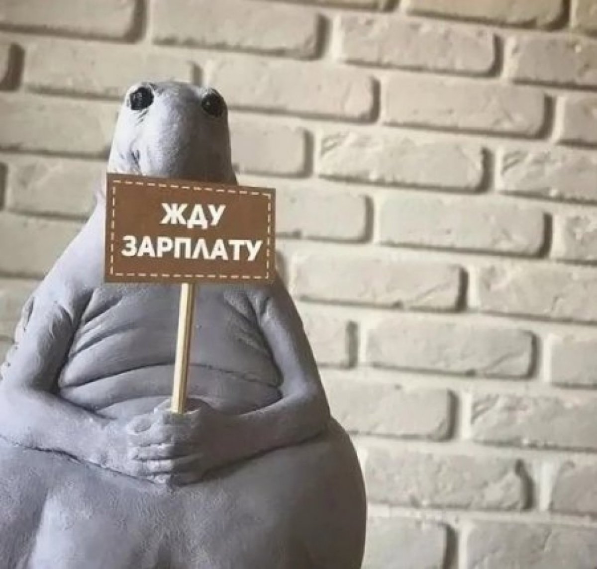 Жду зарплату