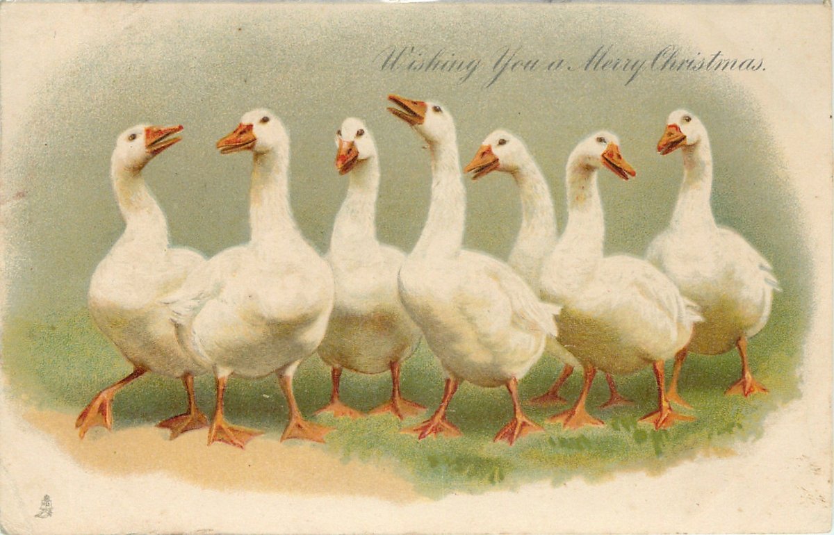 Два веселых гуся