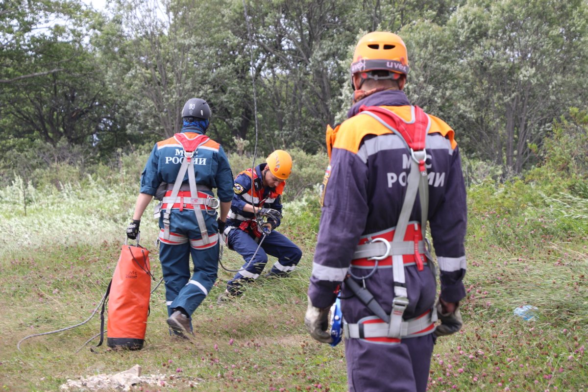 Вектор спасения спасатели