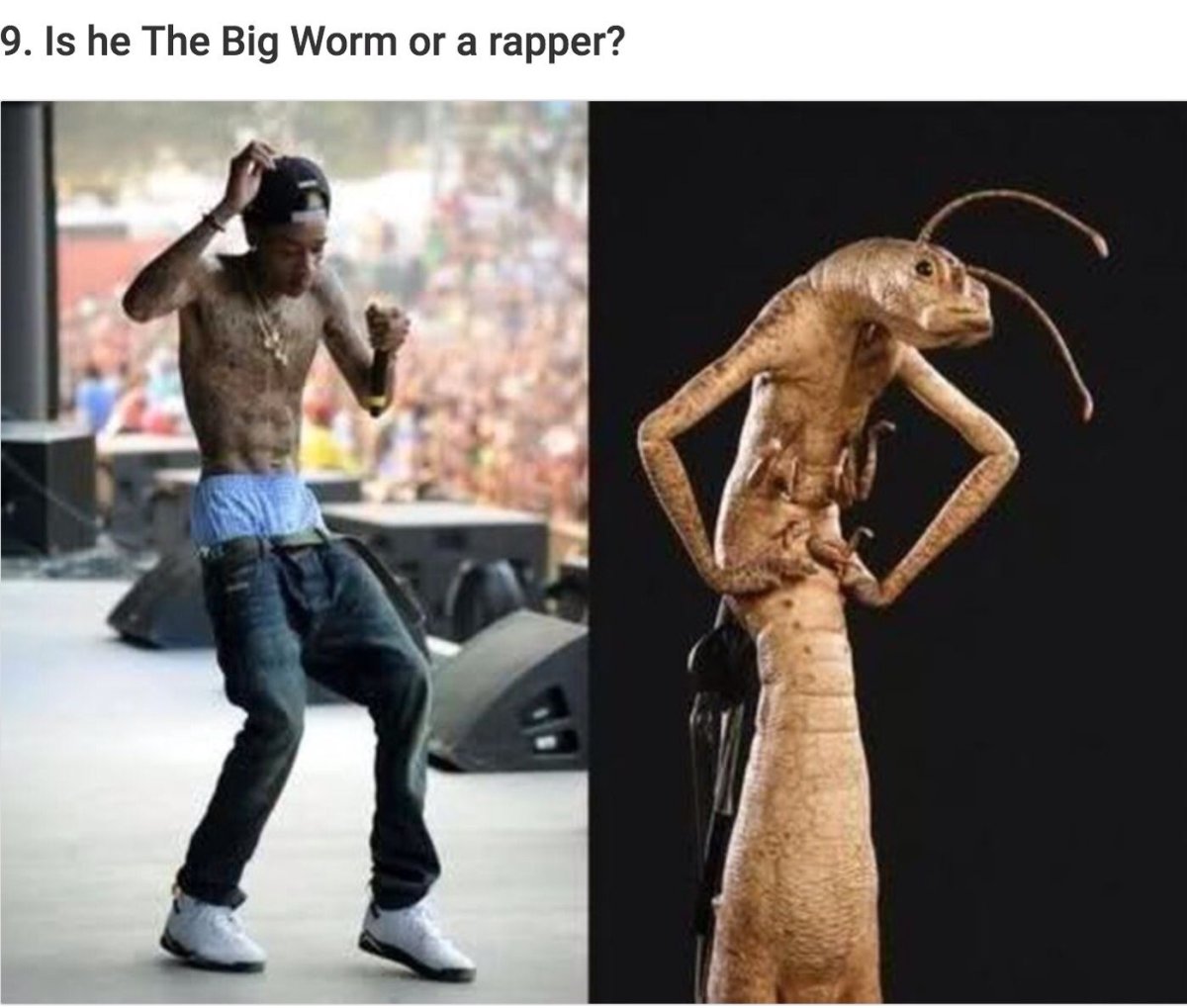 Тараканы из люди в черном