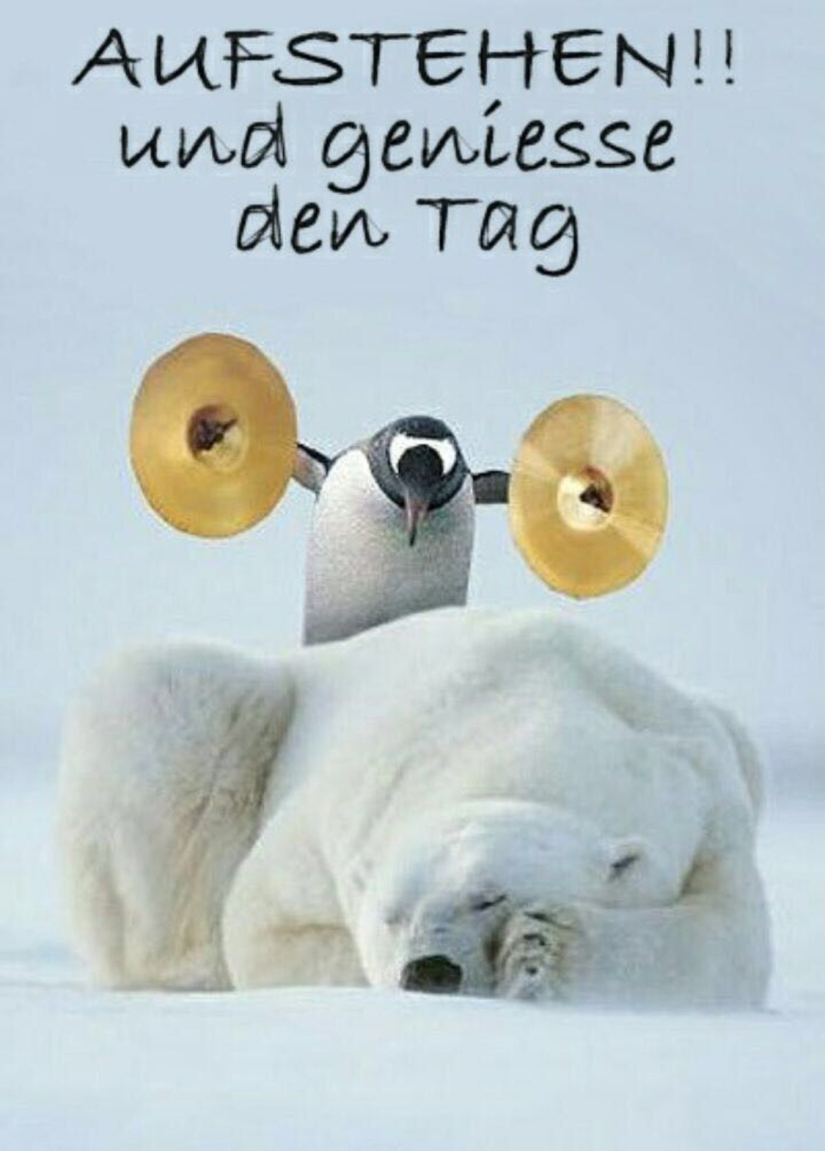 С добрым утром зимние прикольные смешные