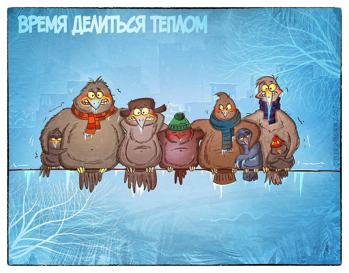 Доброе морозное утро юмор