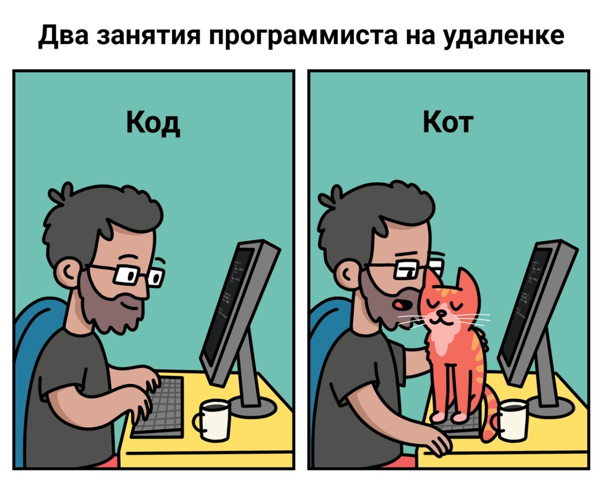 Шутки про программистов