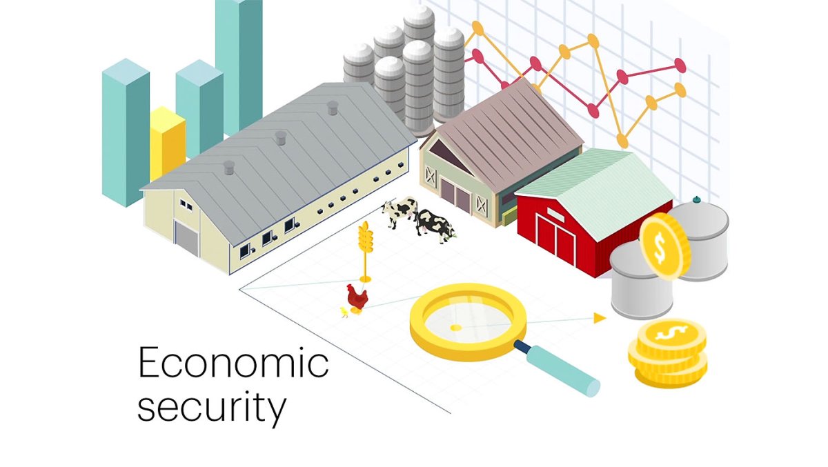 Экономическая безопасность