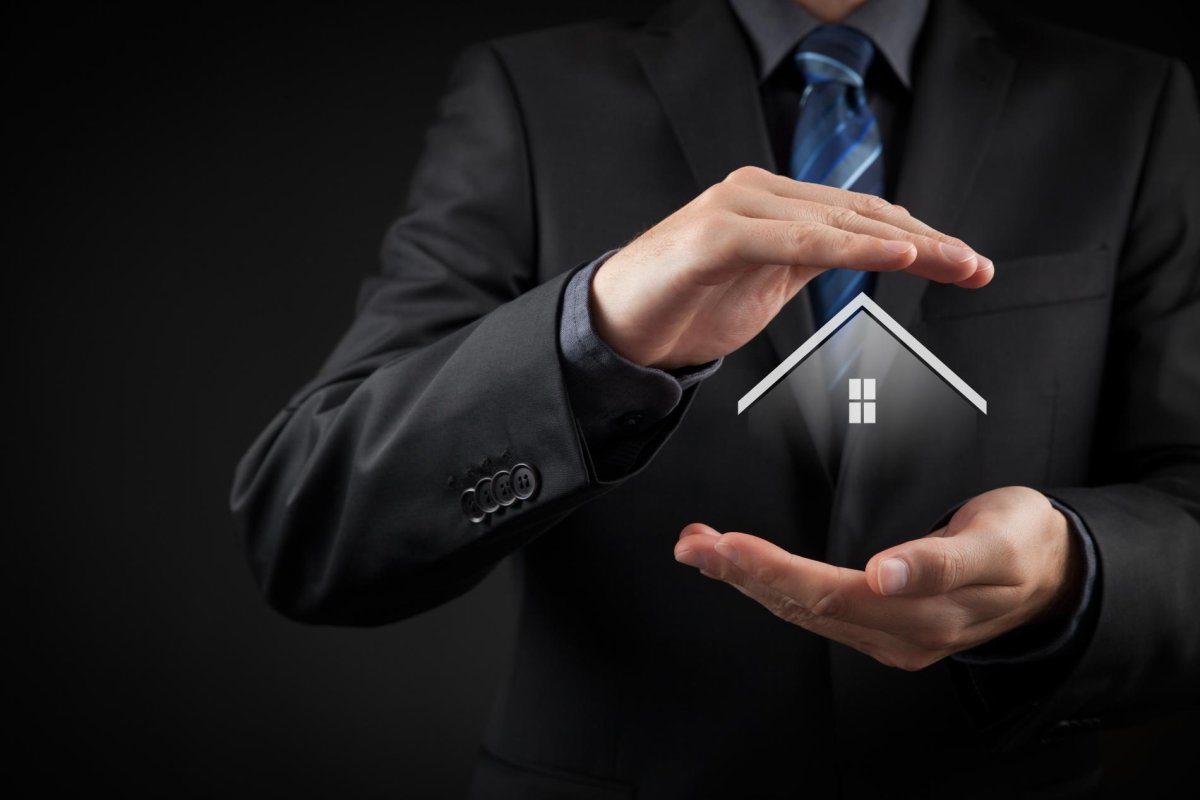 Интеллектуальная собственность