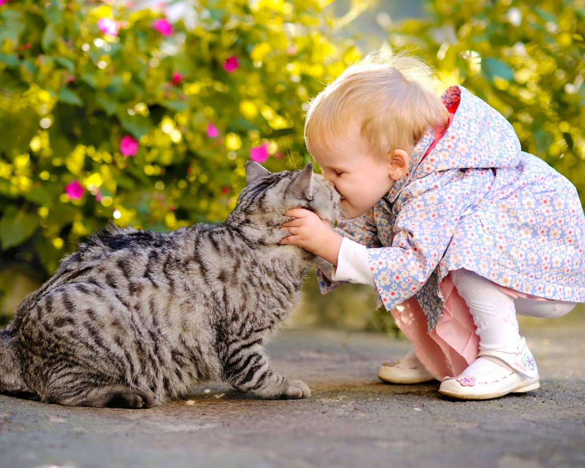 Для детей. Животные