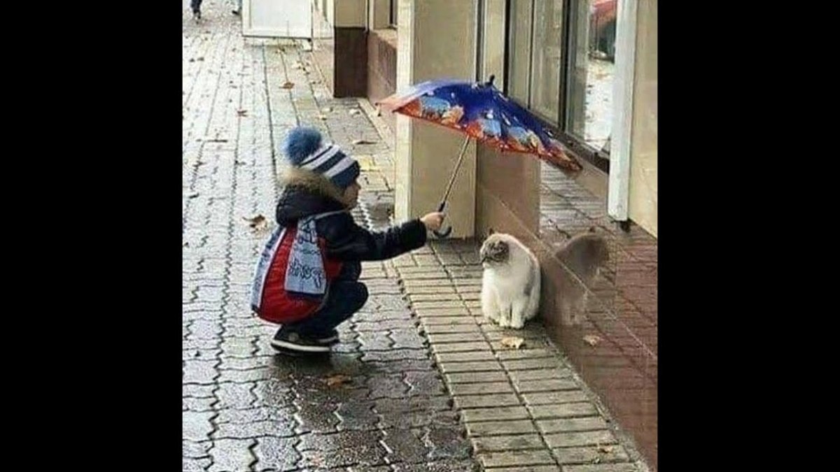 Добрые поступки