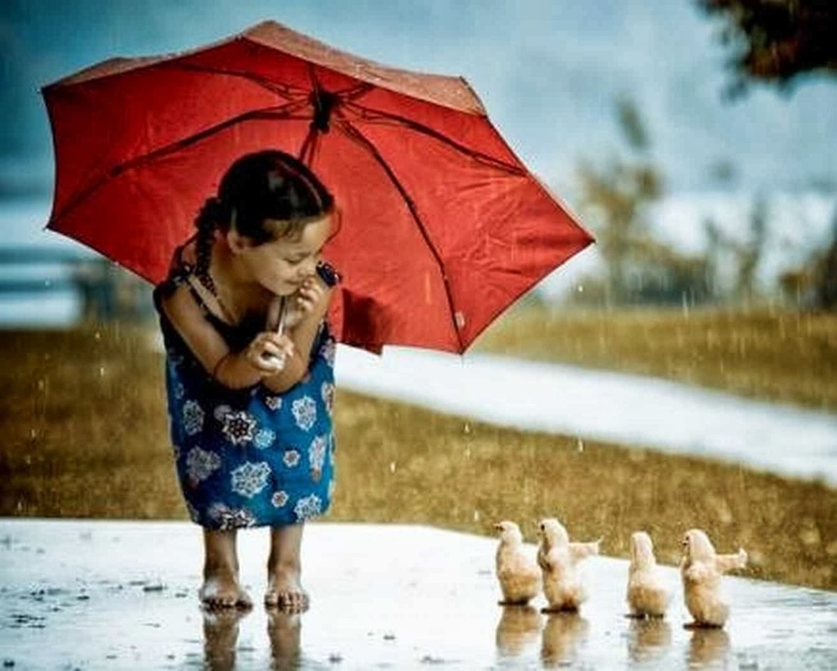 Дети и животные под дождем