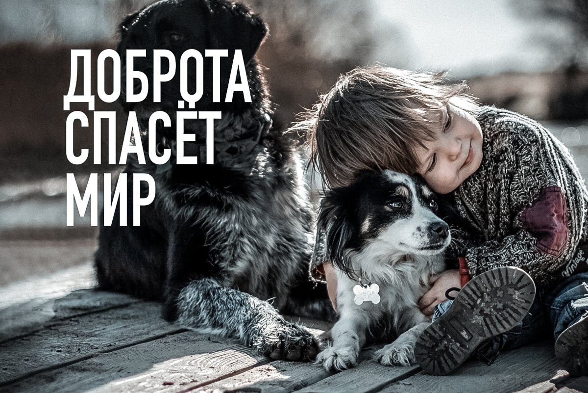 Доброта картинки