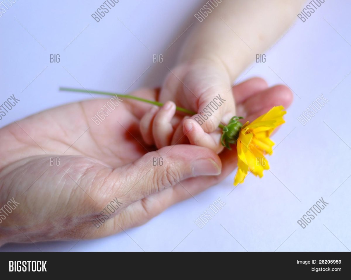 Мотиватор добра в картинке