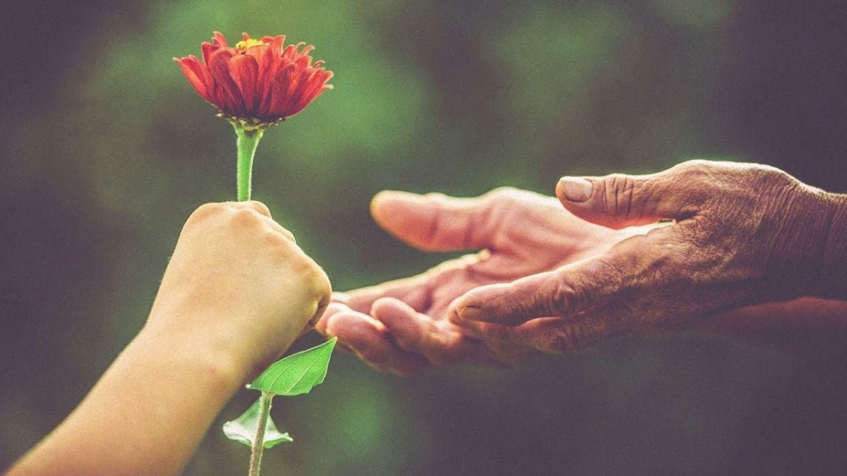 Доброта людей друг к другу