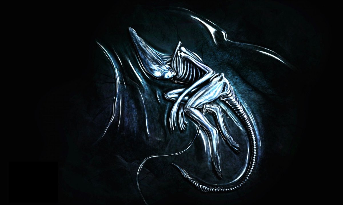 Чужой Минимализм