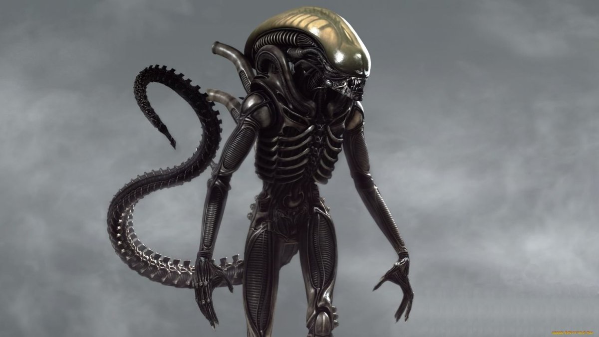 Чужой картинки