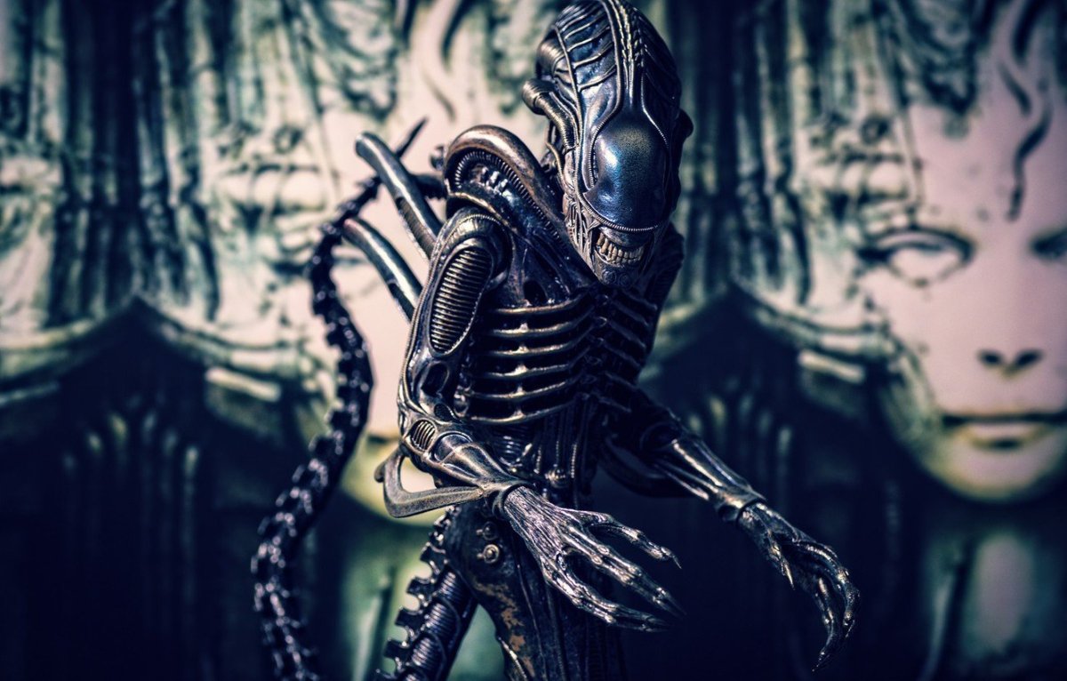 Вселенная чужих