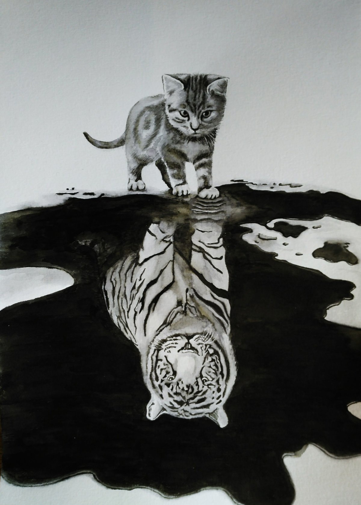 Котёнок и отражение тигра