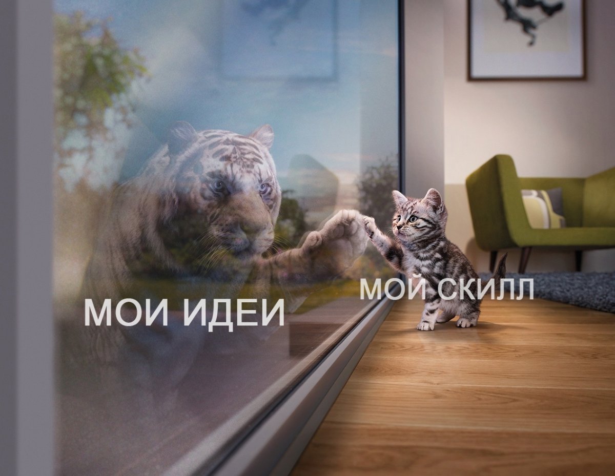 Тигр в отражении