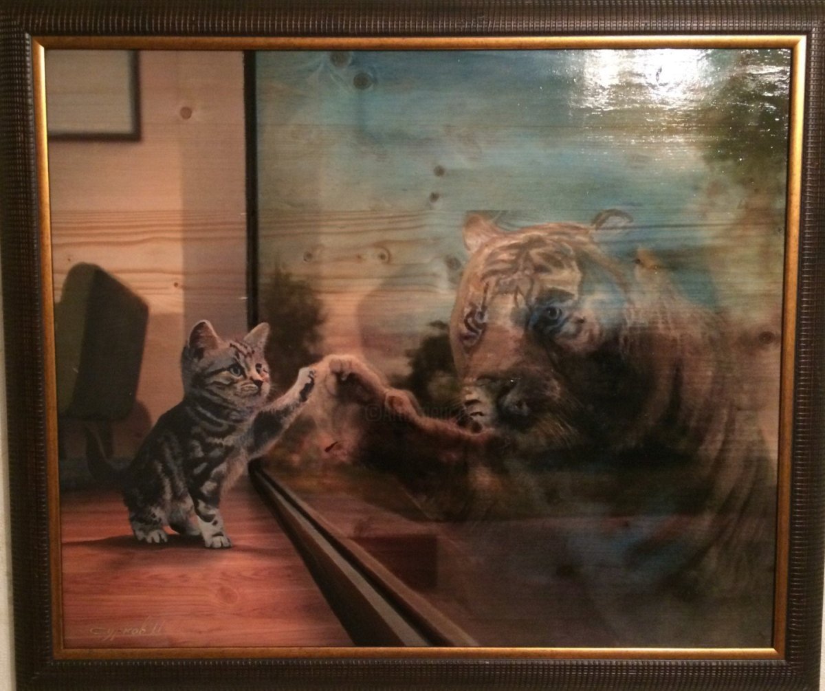 Кошки отражение в воде