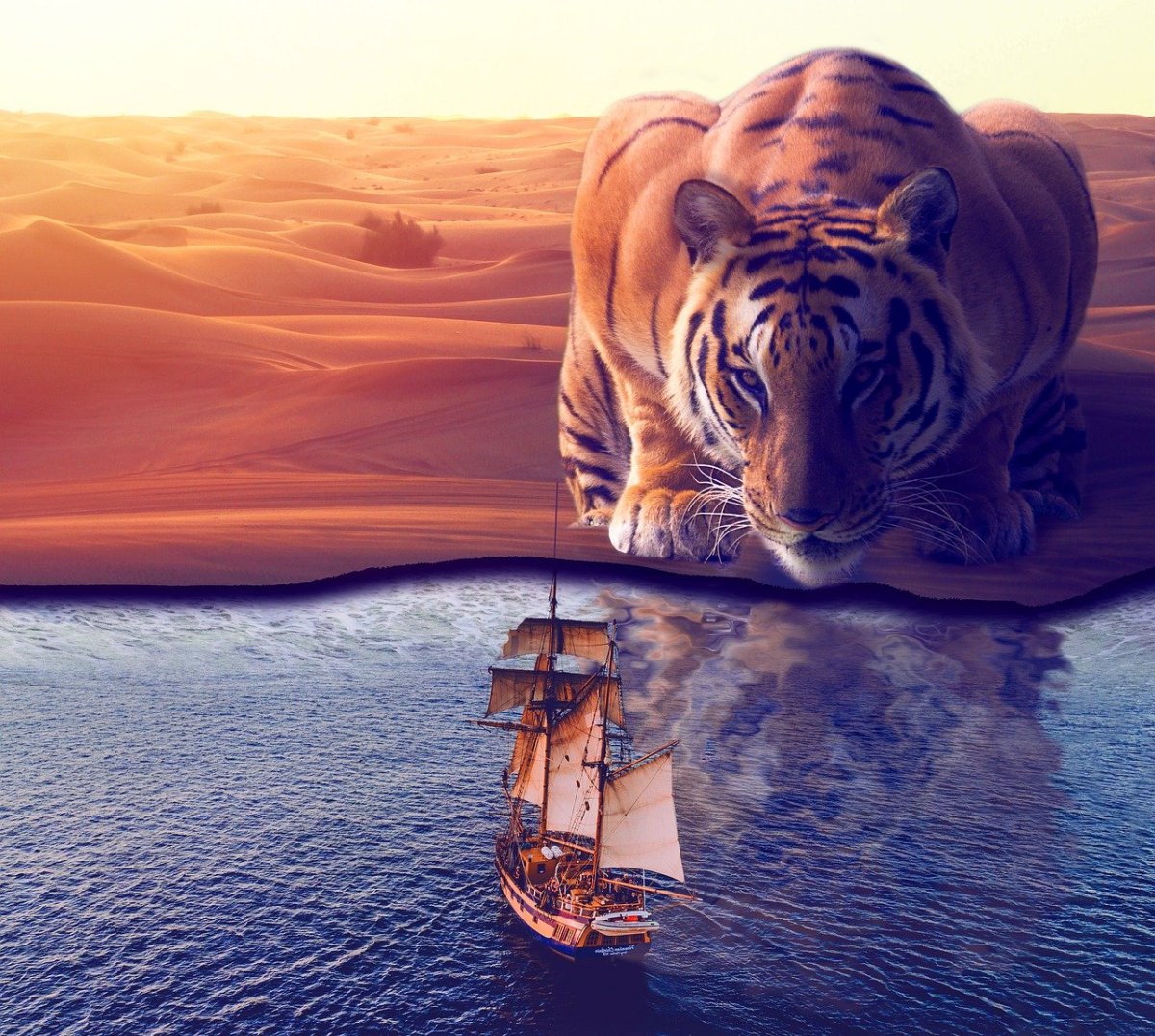 Котик в отражении тигр