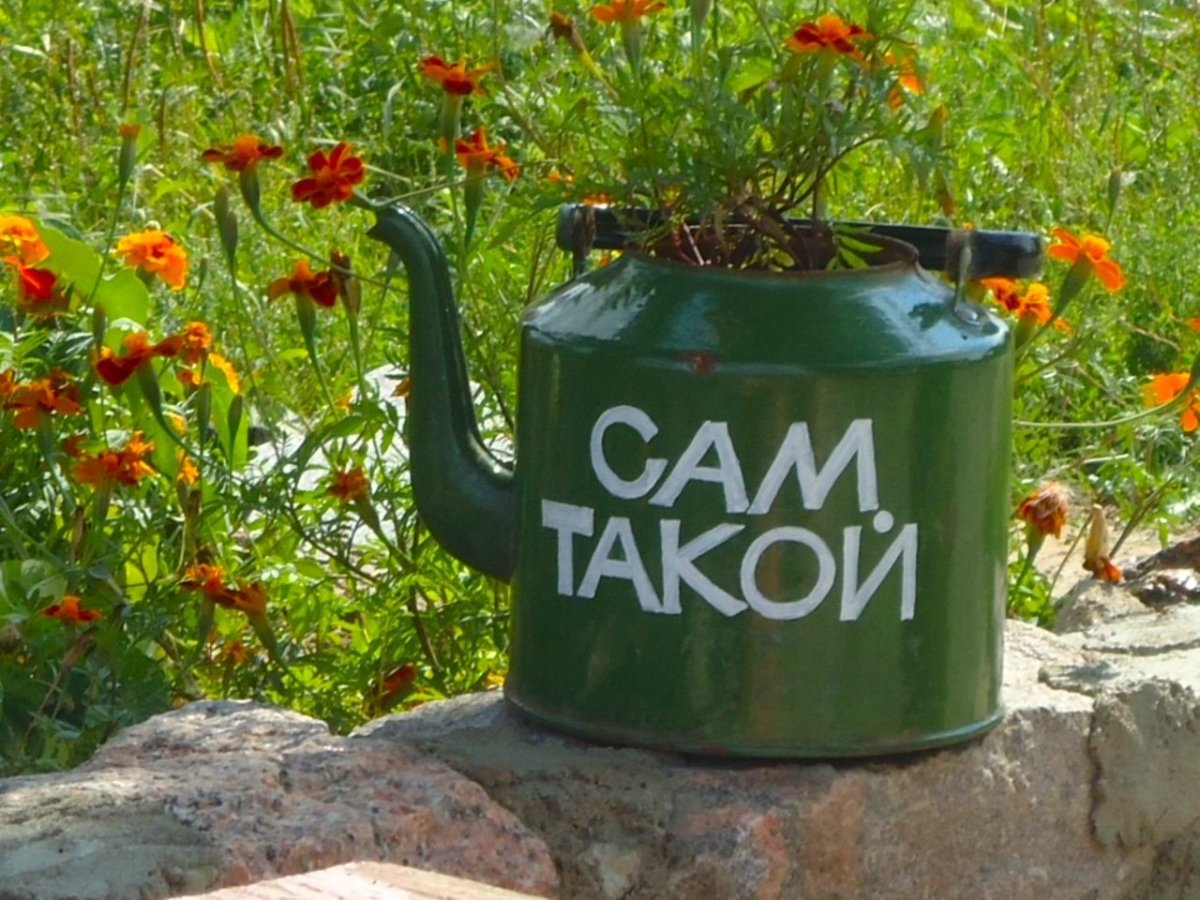 Про огород прикольные