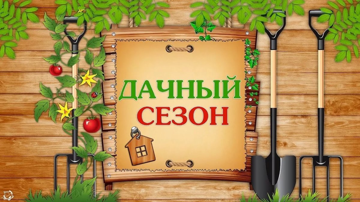 Анекдоты про дачу в картинках