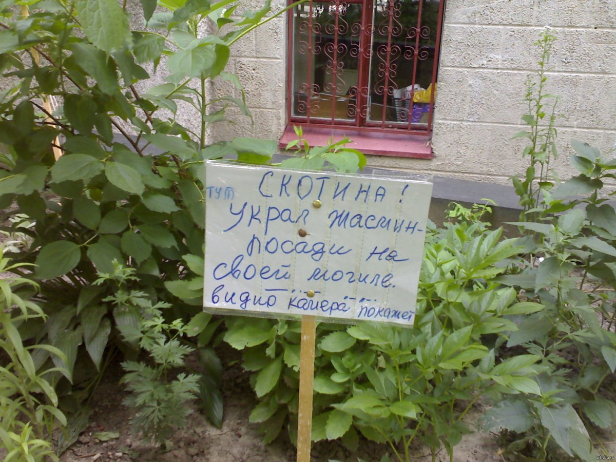 Веселые надписи на даче