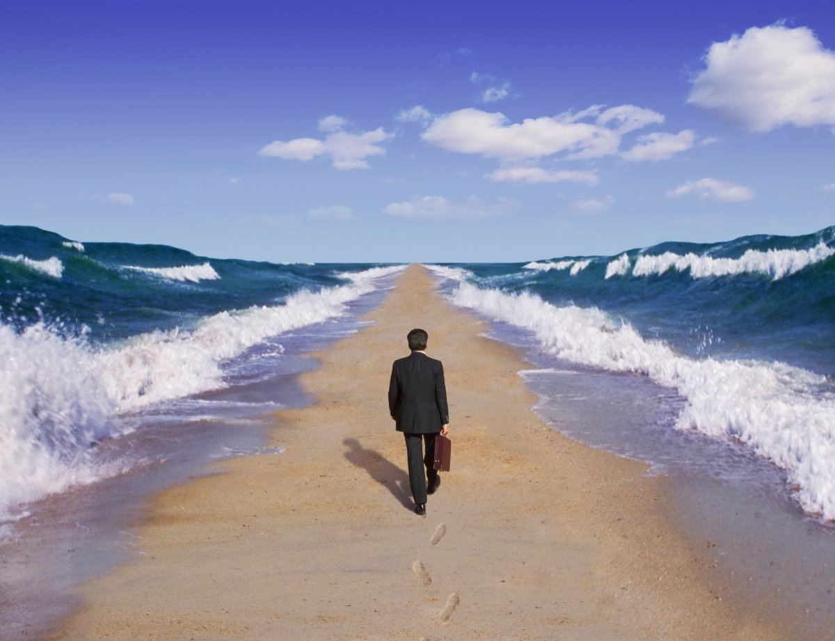 Путь к морю