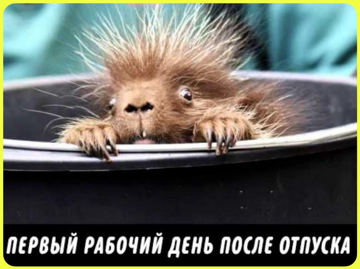 Шутки про чудо