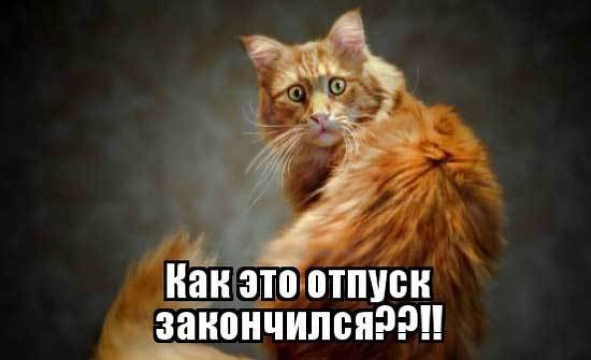 Отпуск закончился