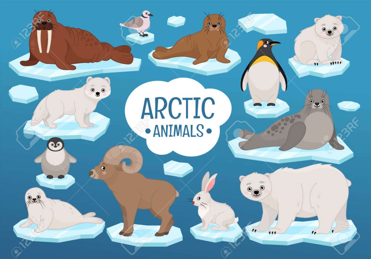 Животные Арктики вектор