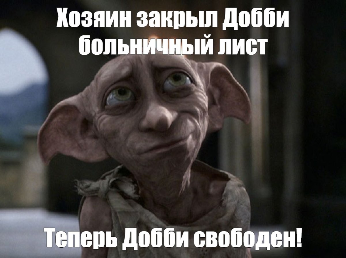 Добби получил носок