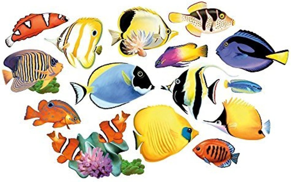 Морские рыбы