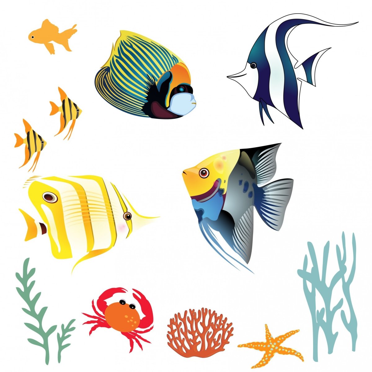 Красивые рыбки на прозрачном фоне