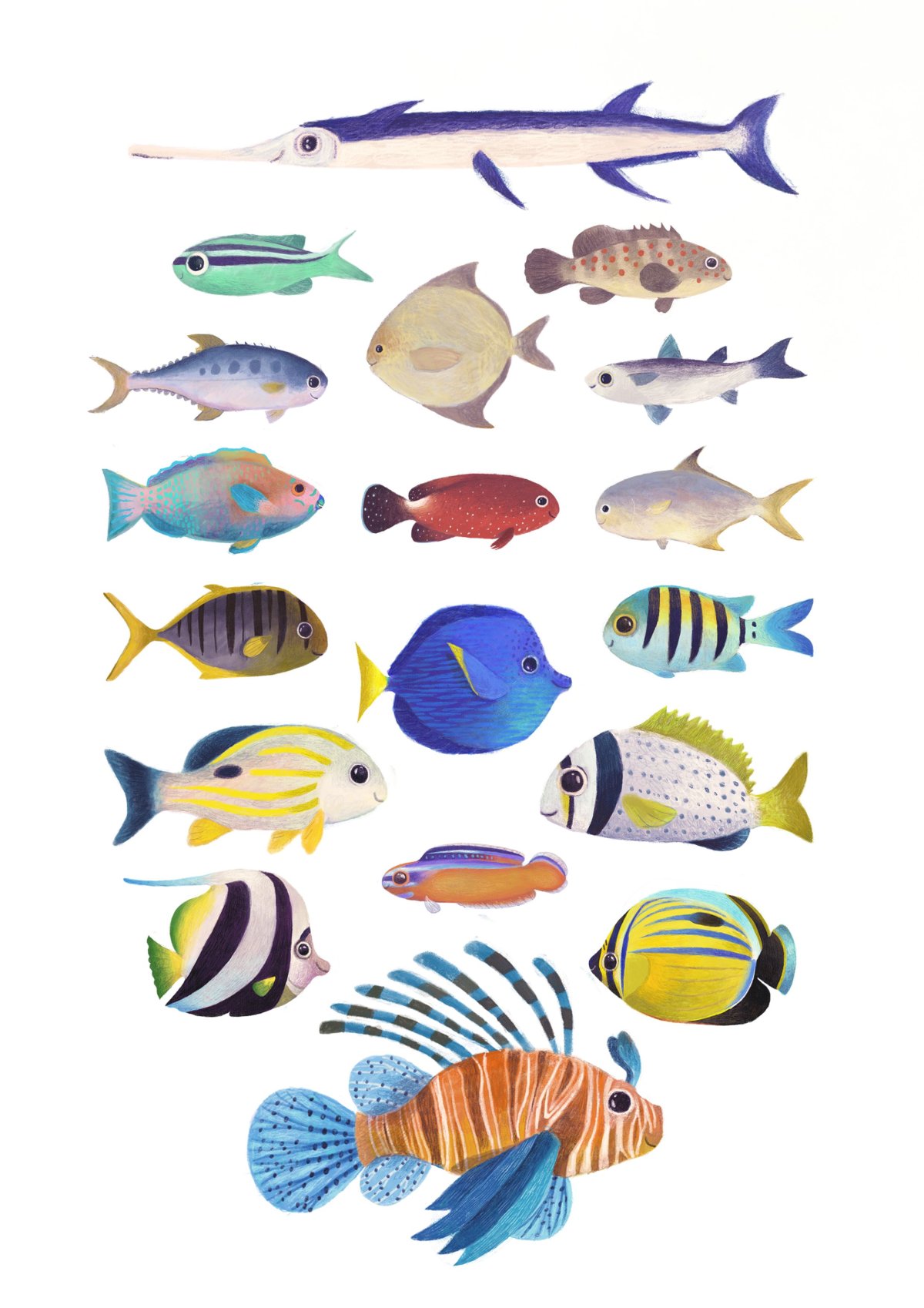 Тропические рыбы