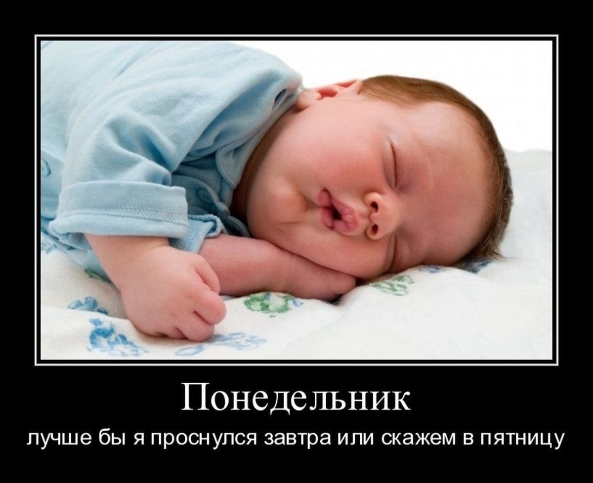Понедельник юмор