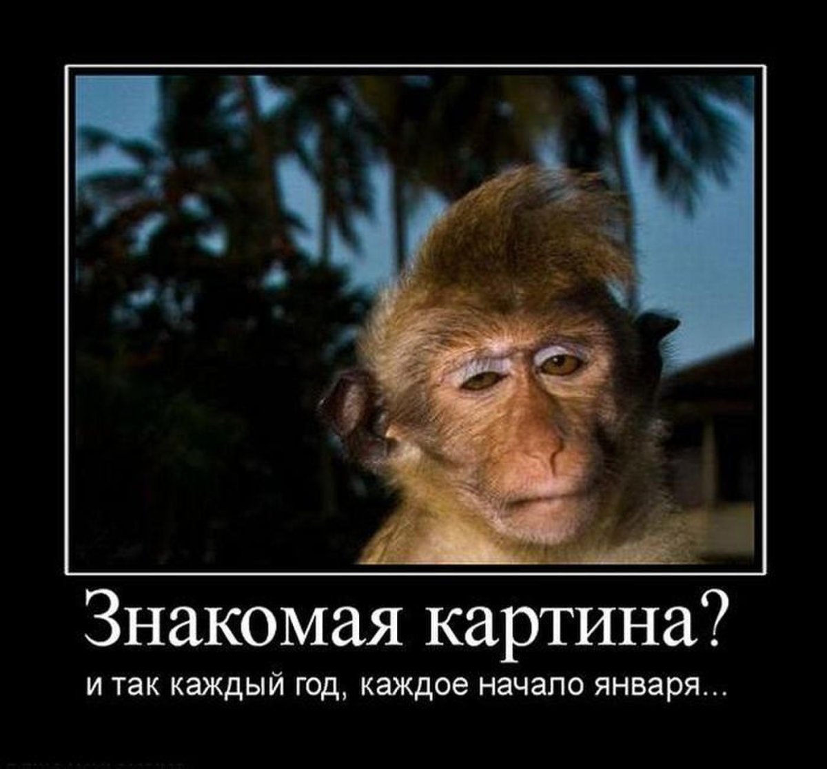 Уставшая обезьянка