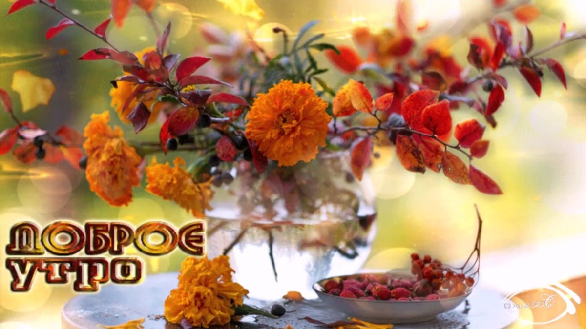 Доброе утро осень