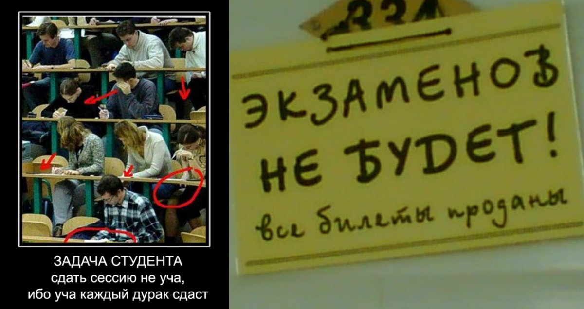 Прикольные картинки студенческой жизни
